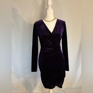 Chic Velvet Long Sleeve Dress in Deep Purple